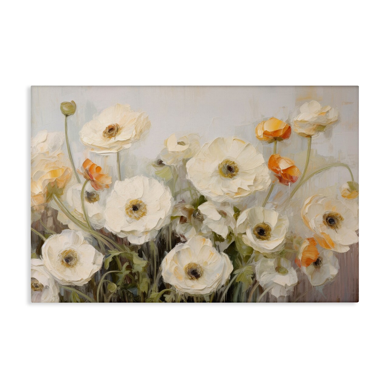 Stupell Industries White Ranunculus Blooms Canvas Wall Art Design by Petals Prints Design